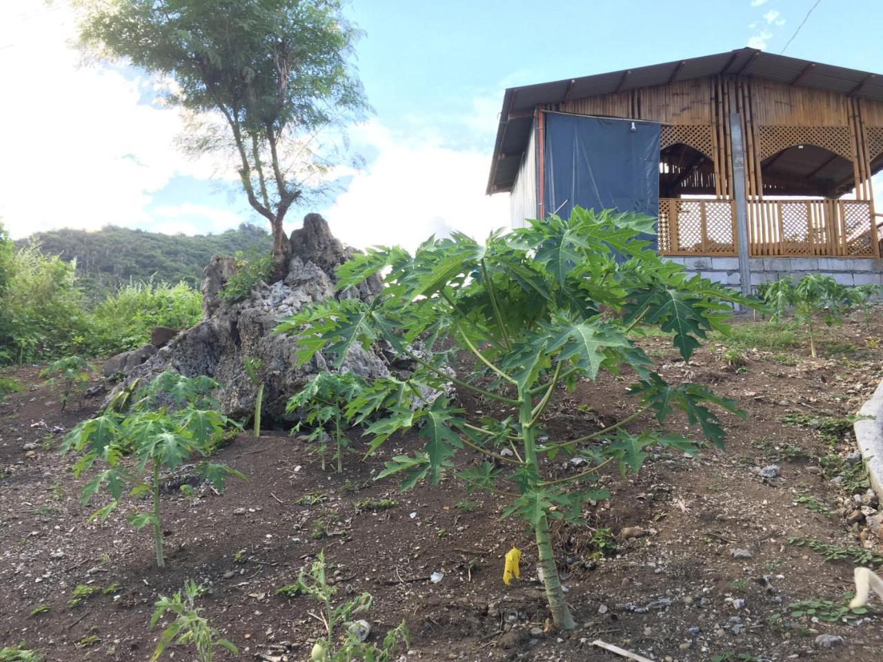Sealovers' Place Masasa Beach Batangas Exterior photo